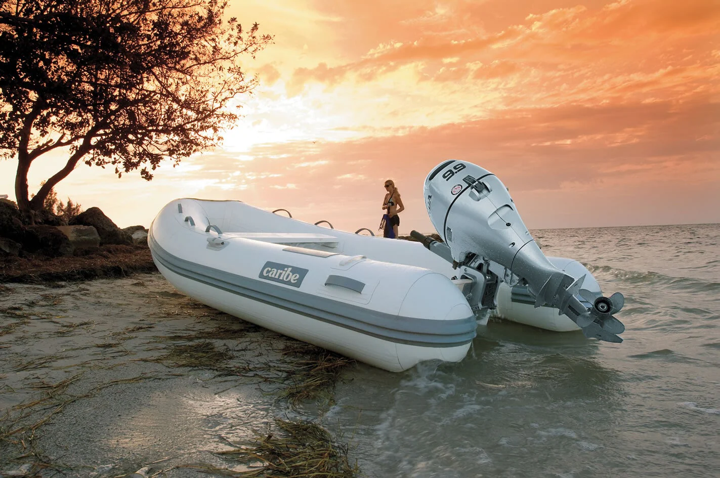 Honda 10 PK buitenboordmotor BF10D LRU Langstaart afstandsbediening - Image 6