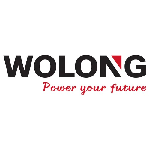 Wolong ePod 1.5 elektrische pod motor 1.5 kW inclusief afstandsbediening - Image 11